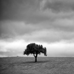 lonely-people-god